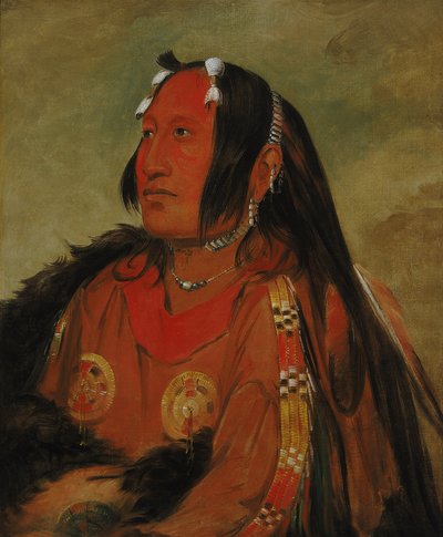 Wi-jún-jon, Taubenei-Kopf (Das Licht), ein herausragender junger Krieger von George Catlin